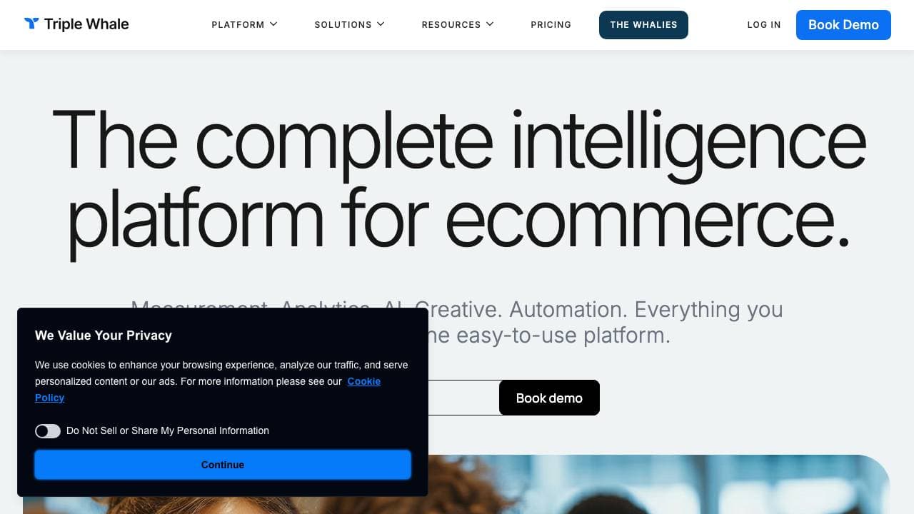Capture d'écran de Triple Whale
