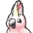 Logo Cockatoo