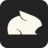 Logo Pika