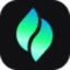 Logo Verdent AI