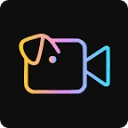 Logo Videoinu