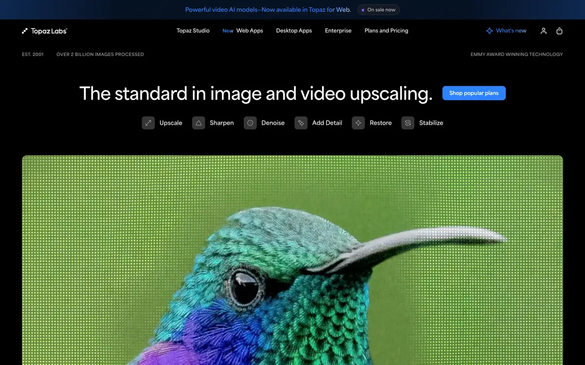 Capture d’écran de la page d’accueil de Topaz Labs