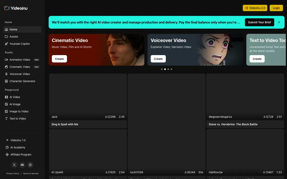 Capture d’écran de la page d’accueil de Videoinu