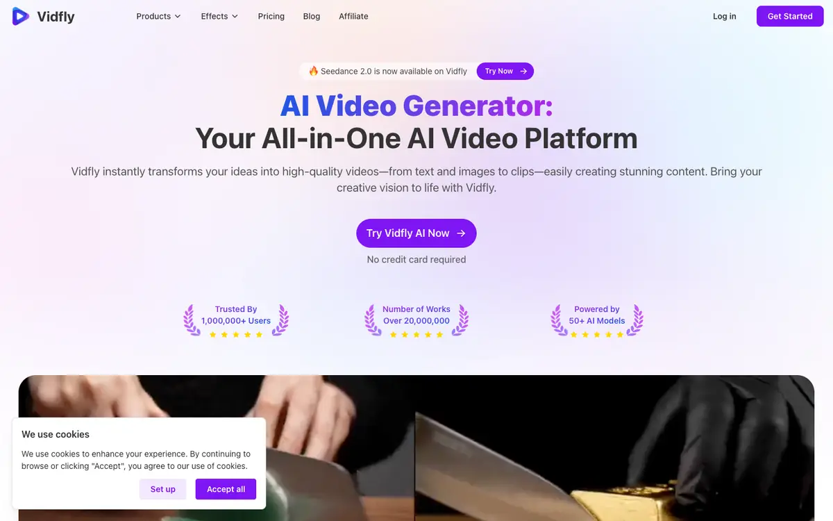 Capture d’écran de la page d’accueil de Vidfly